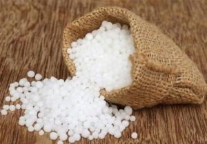 تأمین مالی اوره حمایتی؛ پیش‌شرط پایداری تولید و امنیت غذایی