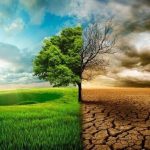 زنگ خطر ال‌نینو برای اقتصاد جهان؛ شرکت‌های بزرگ در آماده‌باش