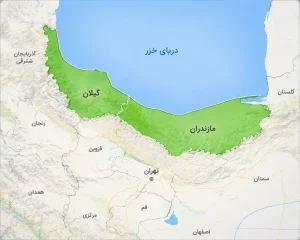 آگهی‌های وسوسه‌کننده زمین در شمال؛ کدام زمین‌ها واقعاً قابل ساخت‌اند؟