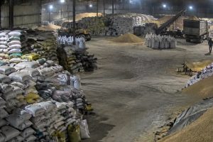 حبس و محرومیت از فعالیت برای تولیدکننده خوراک دام فاسد در جویبار