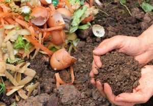 شرایط صادرات کمپوست برای جلوگیری از خروج خاک پوششی سخت شد