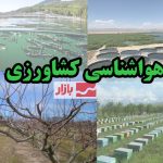 تشدید فعالیت سامانه‌‎های بارشی و سیل‌آسا؛ هشدار به کشاورزان ۸ استان