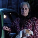 «فصل شیرین» آماده نمایش شد